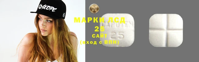индика Заволжье