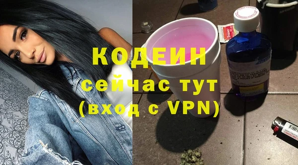 индика Заволжье