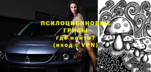 индика Заволжье