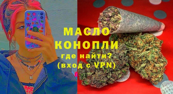 индика Заволжье