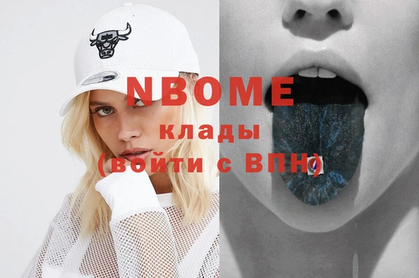 индика Заволжье