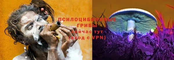 индика Заволжье