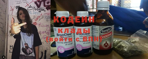 прущие грибы Заволжск