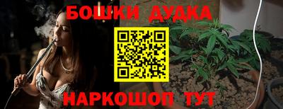 Альфа ПВП Канаш