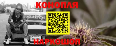 стафф Камышлов
