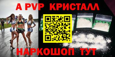 стафф Камышлов