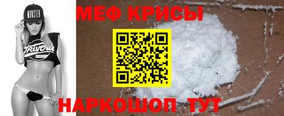 стафф Камышлов