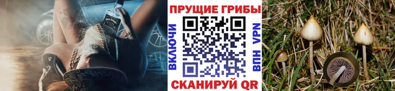 Псилоцибиновые грибы мицелий  Славянск-на-Кубани 