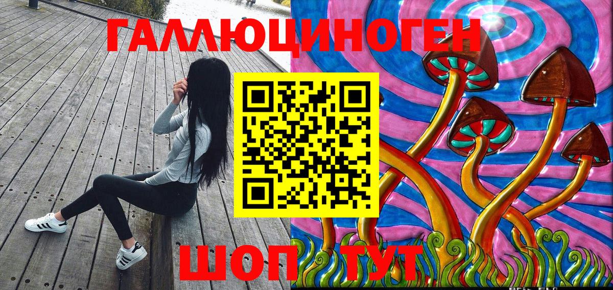 где купить наркотик  Славянск-на-Кубани  Псилоцибиновые грибы мухоморы  Псилоцибиновые грибы MAGIC MUSHROOMS 