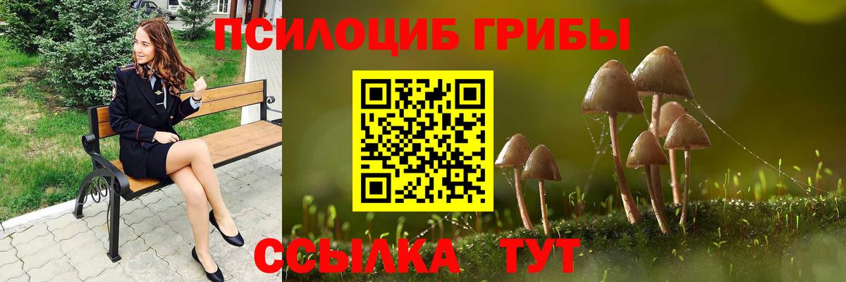 Псилоцибиновые грибы мухоморы Славянск-на-Кубани