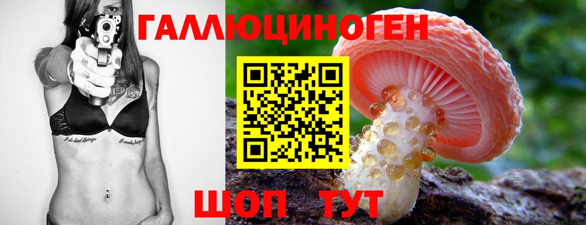 Псилоцибиновые грибы MAGIC MUSHROOMS  Вход с VPN  Славянск-на-Кубани  Галлюциногенные грибы Magic Shrooms 